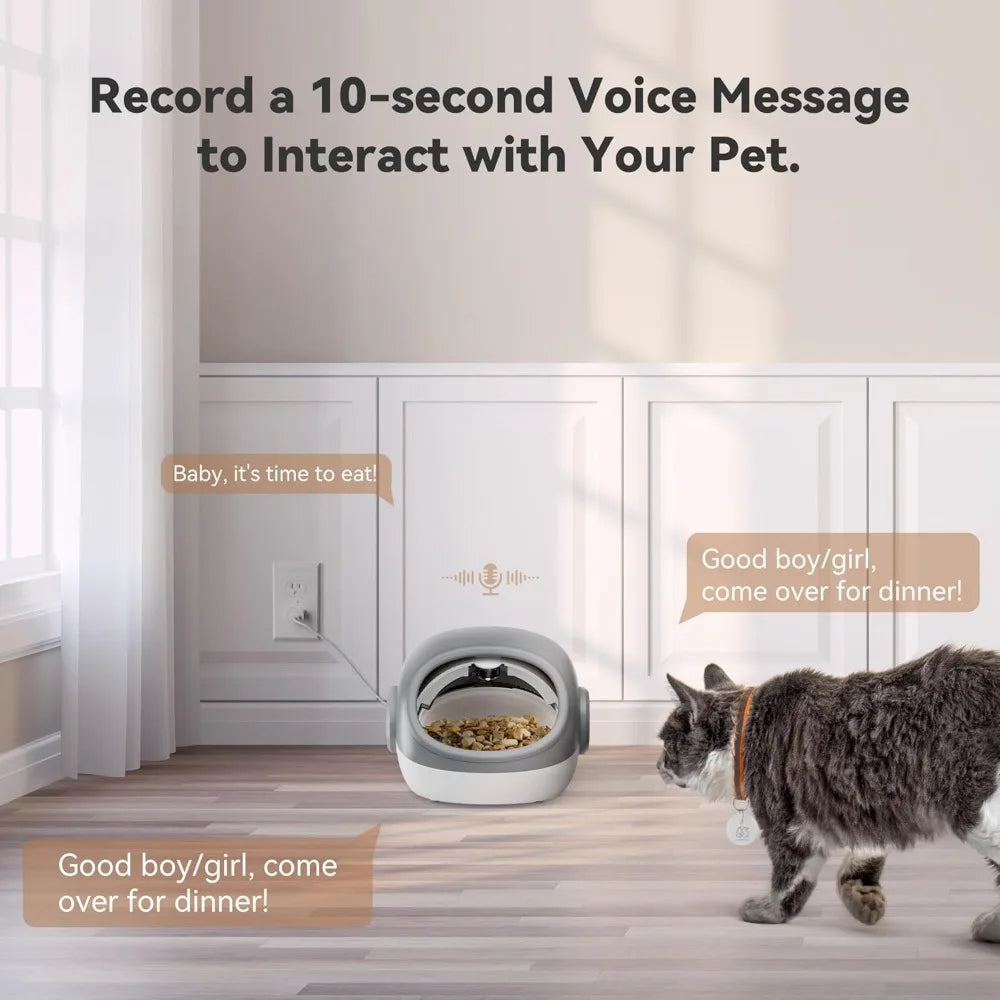 Upgraded RFID Cat Feeder – Timed & Anti-Theft Feeder for Multi-Cat Households