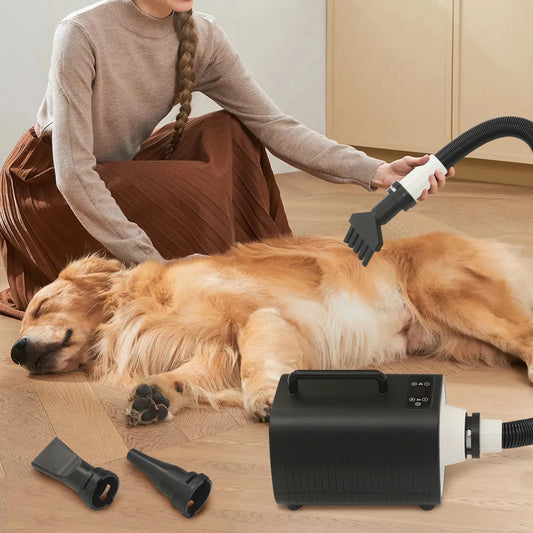 Professional Pet Hair Dryer – High-Speed 2100W Blower for Dogs & Cats