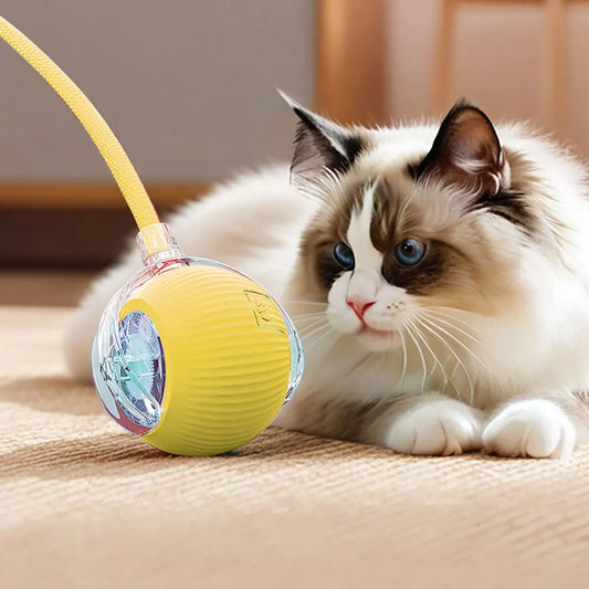 Interactive Automatic Rolling Cat Toy – USB Rechargeable Fun Ball