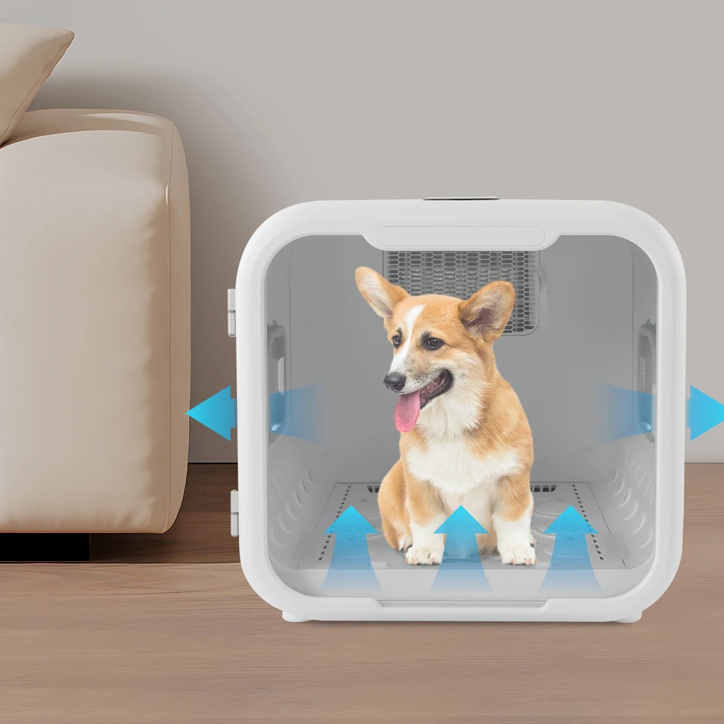 71L Pet Dryer Box – Quiet, Adjustable & Smart Drying for Cats & Small Dogs