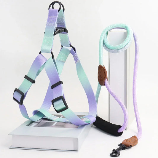 Colorful Pet Harness & Leash Set – Indoor & Outdoor Use
