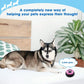 Multifunctional Recording Dog Button – Simple & Interactive Communication Tool