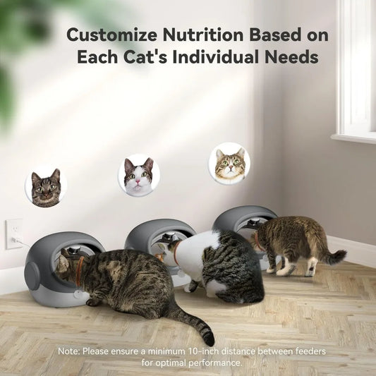 Upgraded RFID Cat Feeder – Timed & Anti-Theft Feeder for Multi-Cat Households