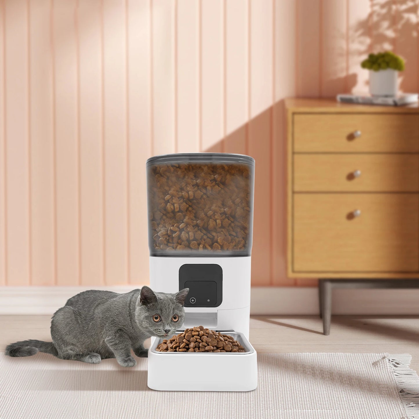 6L Smart Automatic Pet Feeder – App-Controlled Food Dispenser for Cats & Dogs