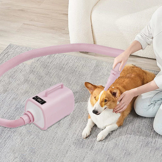 Professional Pet Hair Dryer – High-Speed 2100W Blower for Dogs & Cats