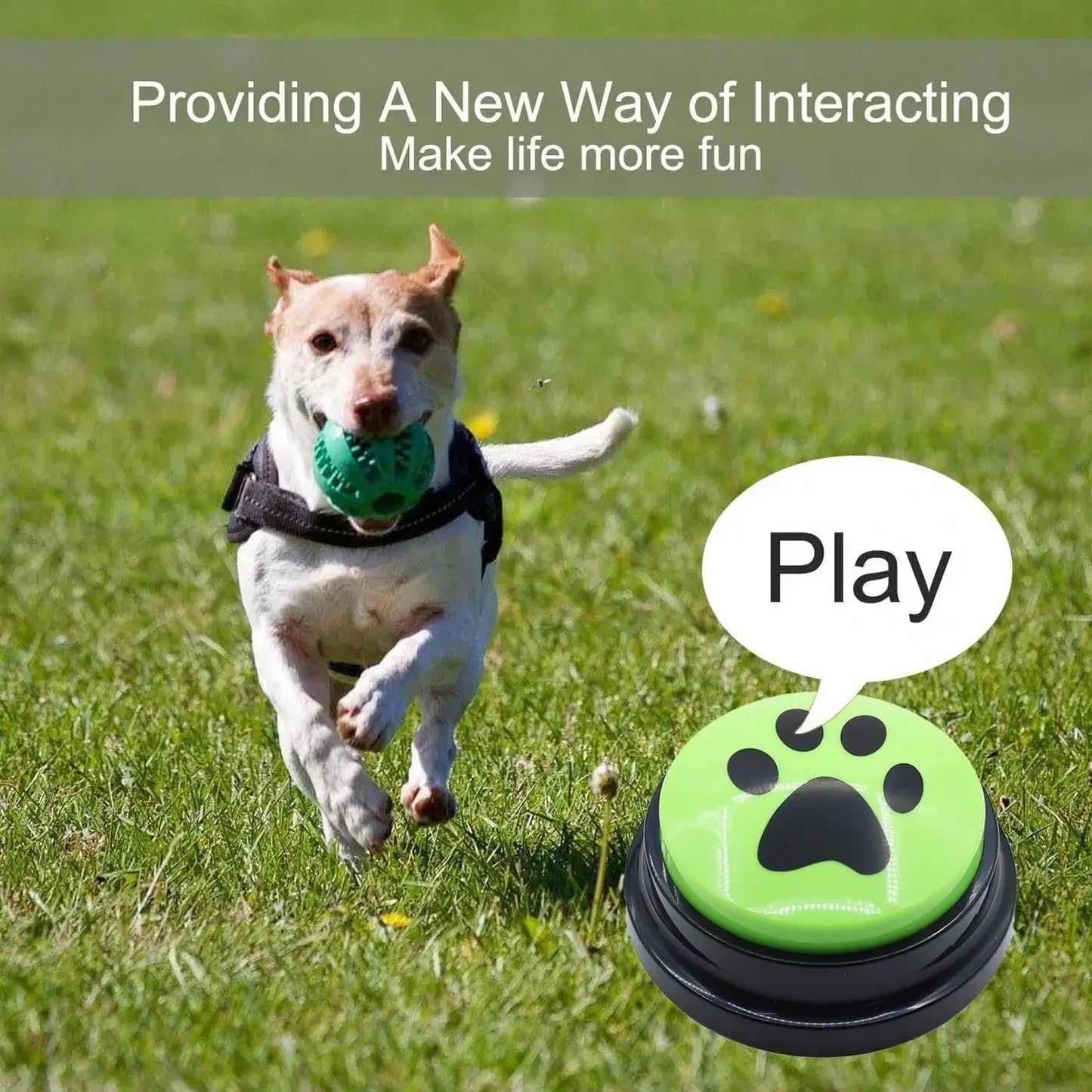 Multifunctional Recording Dog Button – Simple & Interactive Communication Tool